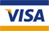 Visa Visa Icon